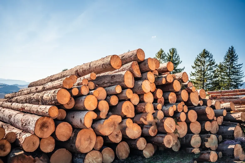 Stammholz Nadelholz – Lastwagen-Ladung flexibel